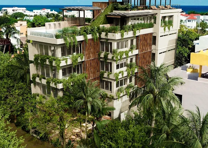 Mangroovy Puerto Morelos
